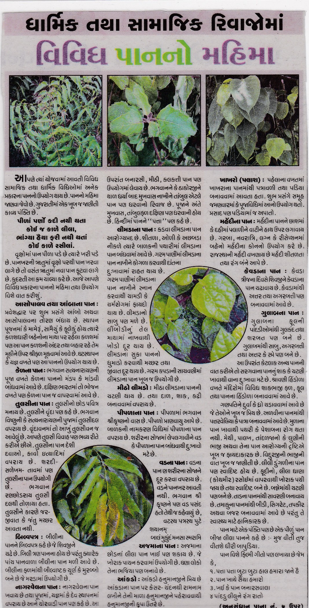 Informative Articles By Sandesh News Paper